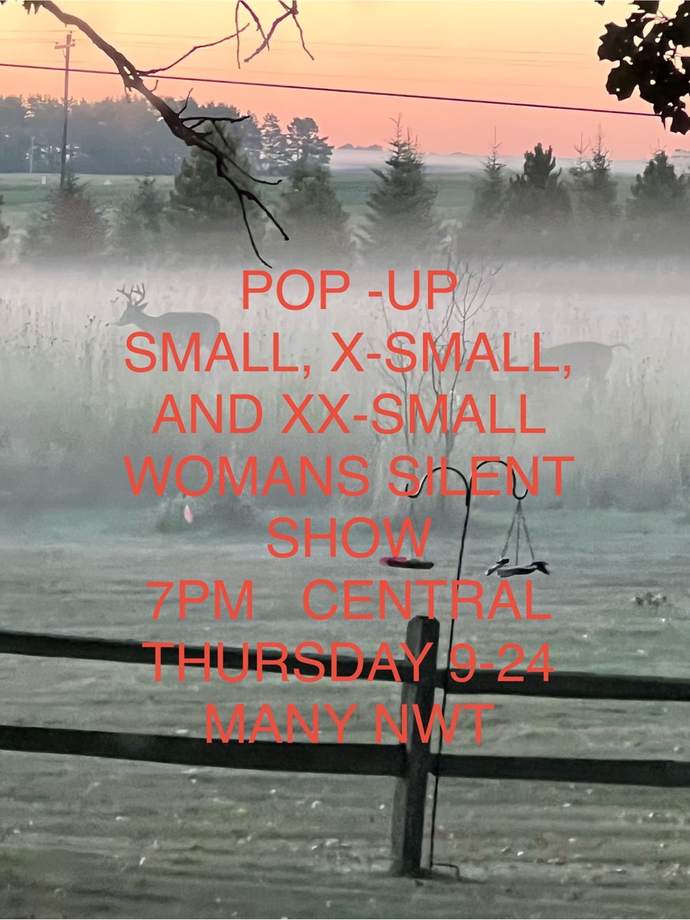 SM. X SMALL. XX SMALL WOMENS SILENT SHOW
